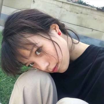 半岛·综合下载手机版